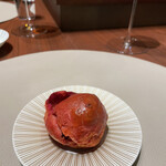 スガラボヴィー - 