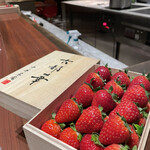 スガラボヴィー - 