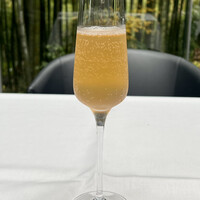 エルルカン・ビス - セレブレ　ノンアルスパークリングワイン