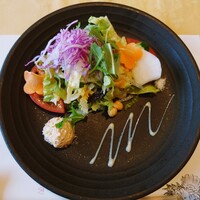 中納言 大阪駅前第3ビル店 - 彩り新鮮野菜サラダ
                    
                    