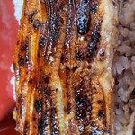 うなぎ いっせい - 