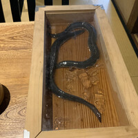 にょろ助 銀座 - 