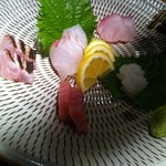 旬の鮮魚と魂の煮込み 照 博多駅前店 - 旬の鮮魚刺身盛り合せ（天然鯛・本マグロ中トロ・かんぱち・やりいか・いさき炙り）