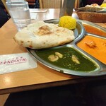 エスニック&インド料理 TANDOOR - 