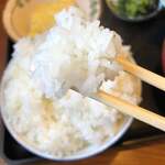 ごはん屋 たこ八食堂 - 