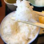 ごはん屋 たこ八食堂 - 