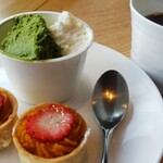 プリムローズ - 