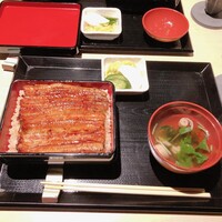うなぎ 目白ぞろ芽 - 