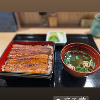 うなぎ 目白ぞろ芽 - 