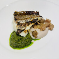 ビストリア 魚タリアン - 