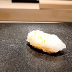 島津 - アオリイカ