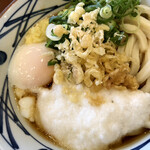 Marugame Seimen - 