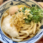 Marugame Seimen - 