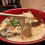 Dentou Kumamoto Tonkotsu Den - 麺