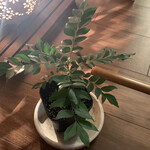 リトル ランカ - 