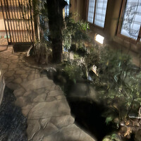 本家鳥初 - 