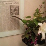 ＴＲＡＴＴＯＲＩＡ　ＳＣＡＣＣＯＭＡＴＴＯ - トイレにヒッソリと