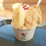 GELATERIA solege - 料理写真: