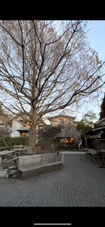 MOKICHI TRATTORIA - 