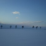 Woody bell - 冬の北海道も、最高！