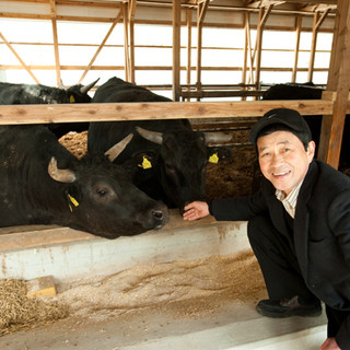 氷見牛は現在、13戸の農家で約1,300頭飼育しています。