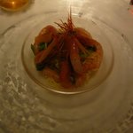 タニーチャ - 冷製パスタ(2013.6)