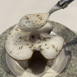 サラマンジェ ドゥ カジノ - 