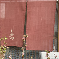 しら河 浄心本店 - 