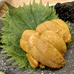 伊と千 - これはムラサキウニ