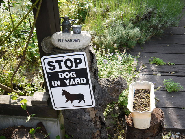 アニーズ（ANNIE'S） - さくらんぼ東根（カフェ）の写真