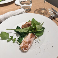 マンサルヴァ - 