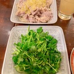 Taiga Gyouza Kawaramachi Ten - パクチーサラダ