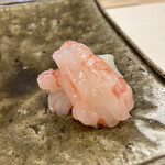 鮨おばな - ぶどうえび 銚子産