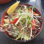 Michinoeki Inagawa Sobanoyakata - サラダそばです
