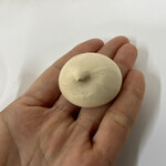 カフェ フラン - 