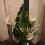 珈琲 紙 - 父パンダの畑のカラーを差し入れしました☆