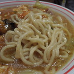 蒙古タンメン中本 - 麺アップ