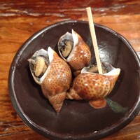 江戸心 山ぼうし - 