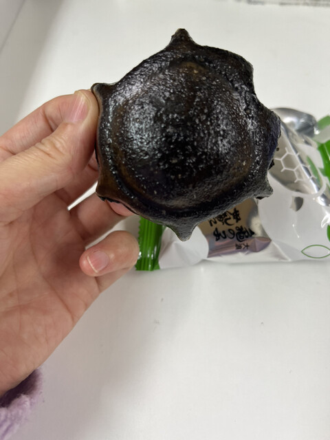 亀の子せんべい本舗大浪 萩荘本店 - 一ノ関（和菓子）の写真