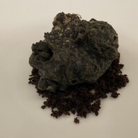 SALONE TOKYO - 