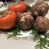 スガラボヴィー - 