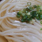 讃岐うどん いわい - ドアップ