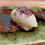 鮨 かぐら - 紋後イカ