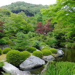 Hananochaya - 園内：三室戸寺　手入れのされた美しい日本庭園