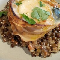 ピッツェリア&トラットリア ゴンゾ 目黒店 - 帆立ソテーレンズ豆リゾット 1680円(税込)