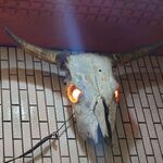 一条流がんこ総本家分家四谷荒木町 - 