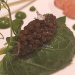 ASAHINA Gastronome - 牡丹海老葉わさび包キャビア
