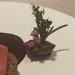 ASAHINA Gastronome - 仔鳩&黒トリフュ