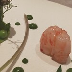 ASAHINA Gastronome - 牡丹海老身