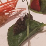 ASAHINA Gastronome - 牡丹海老葉わさび包キャビア